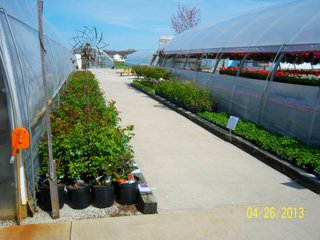 <a href="http://www.mcintoshgreenhouse.com">More Information Available at www.mcintoshgreenhouse.com</a><br><br>Fantastic opportunity on 14+/- acres just south of Goshen, IN with lots of frontage on US 33.  This property is currently zoned commercial-retail and consists of 16 greenhouses with 37,494 SF of heated growing area.  

In addition, it includes retail buildings, shop, and an approx. 1700 SF home adjacent to the business. Opportunities abound with this prime property and the second generation owners retiring and ready to consider offers.  Possible uses of this acreage is unlimited!  A Great location on a busy road, good access and paved parking for 66 vehicles.

 - 14+/- Acres Zoned Commercial-Retail